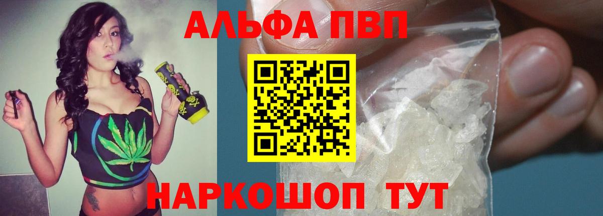 A-PVP СК КРИС Россошь