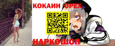 гидропоника Новозыбков