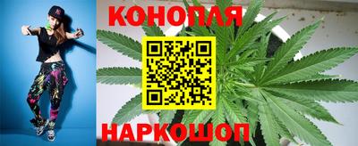 гидропоника Новозыбков
