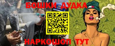 гидропоника Новозыбков