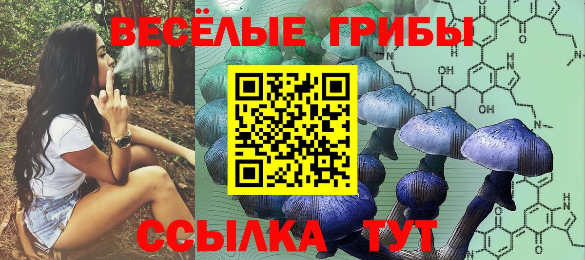 Россошь  Псилоцибиновые грибы мухоморы  Галлюциногенные грибы GOLDEN TEACHER  Вход с VPN 