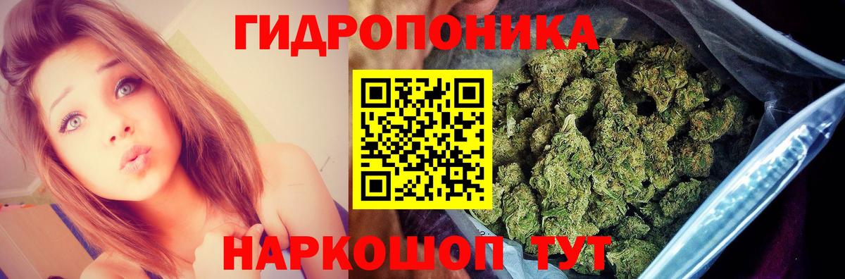 Россошь  Конопля THC 21%  Конопля сатива  Вход с VPN  Марихуана Amnesia  Бошки марихуана план 